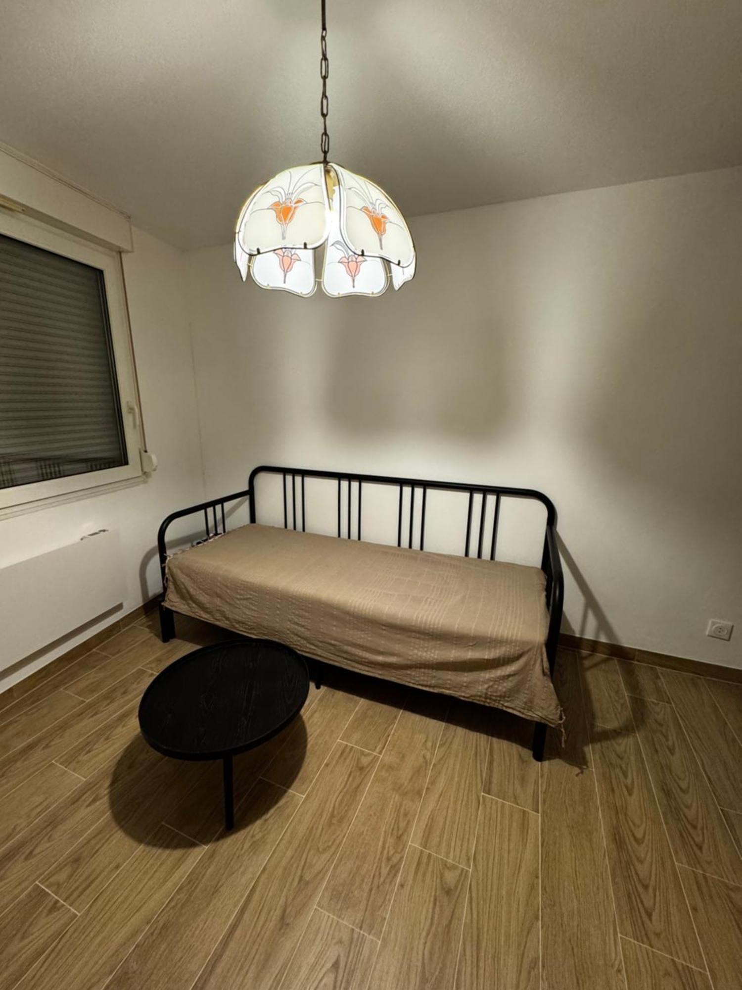 Le Sarsour Appartement Strasbourg Centre Buitenkant foto