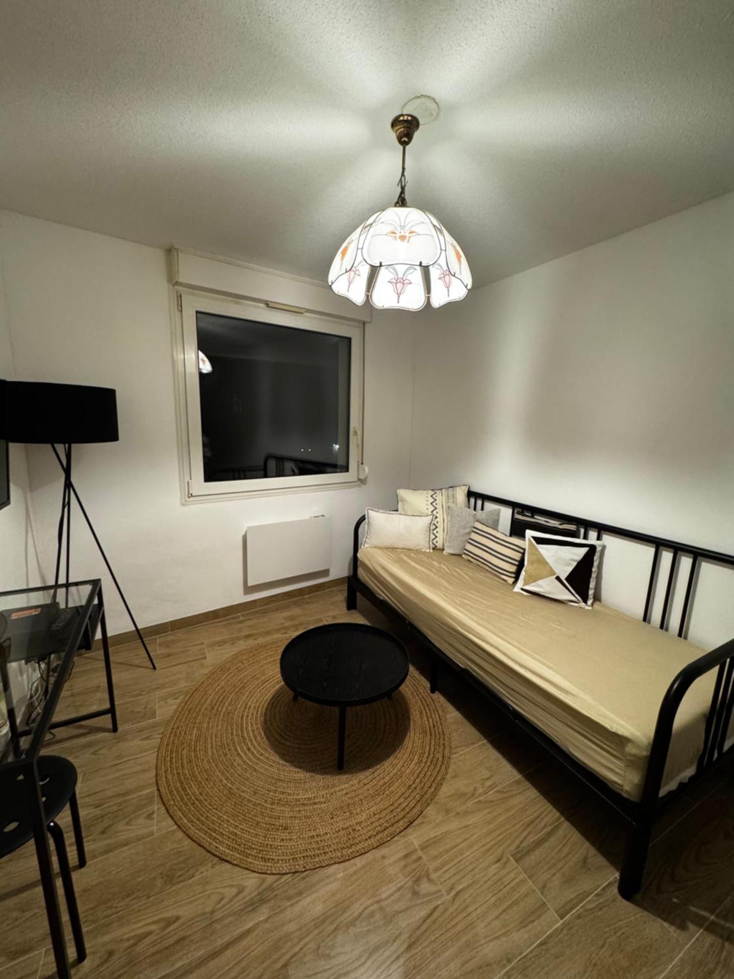 Le Sarsour Appartement Strasbourg Centre Buitenkant foto